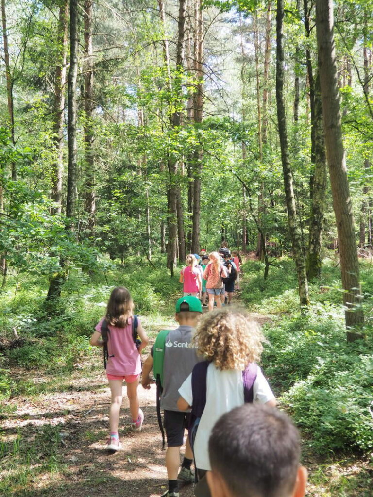 Wandertag der ersten Klassen